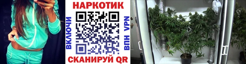 Названия наркотиков Оса МАРИХУАНА  Галлюциногенные грибы  ГАШИШ  Меф мяу мяу  APVP 