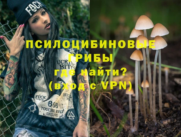 скорость Алексеевка