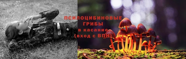 2c-b Алзамай